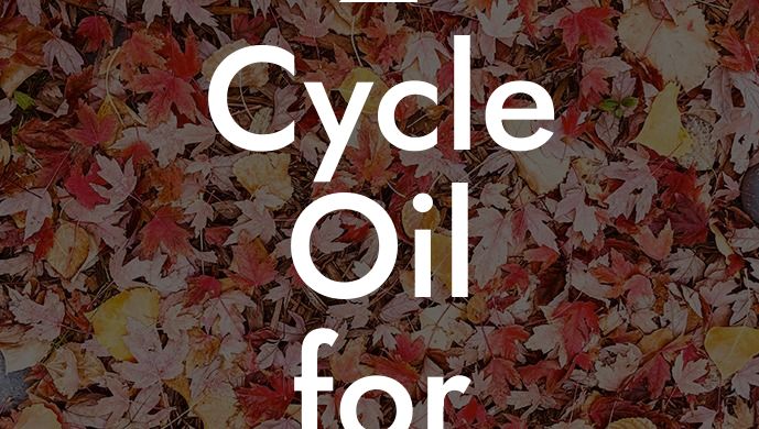 2 Cycle Oil for Leaf Blower