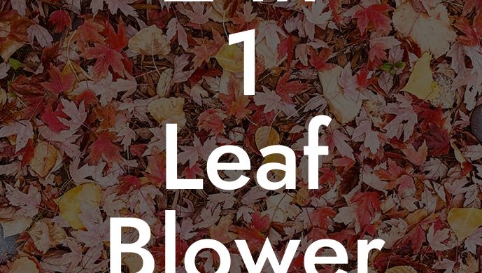 2 in 1 Leaf Blower and Vacuum