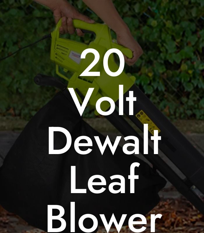 20 Volt Dewalt Leaf Blower