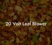 20 Volt Leaf Blower