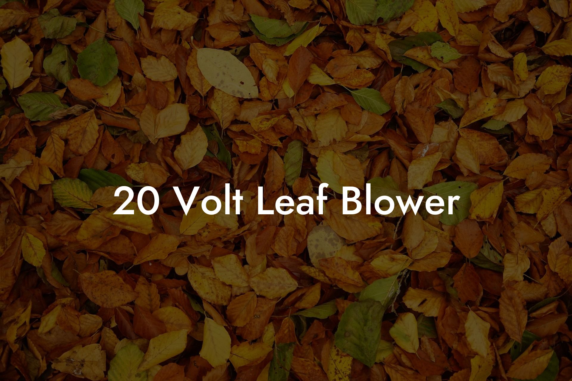 20 Volt Leaf Blower