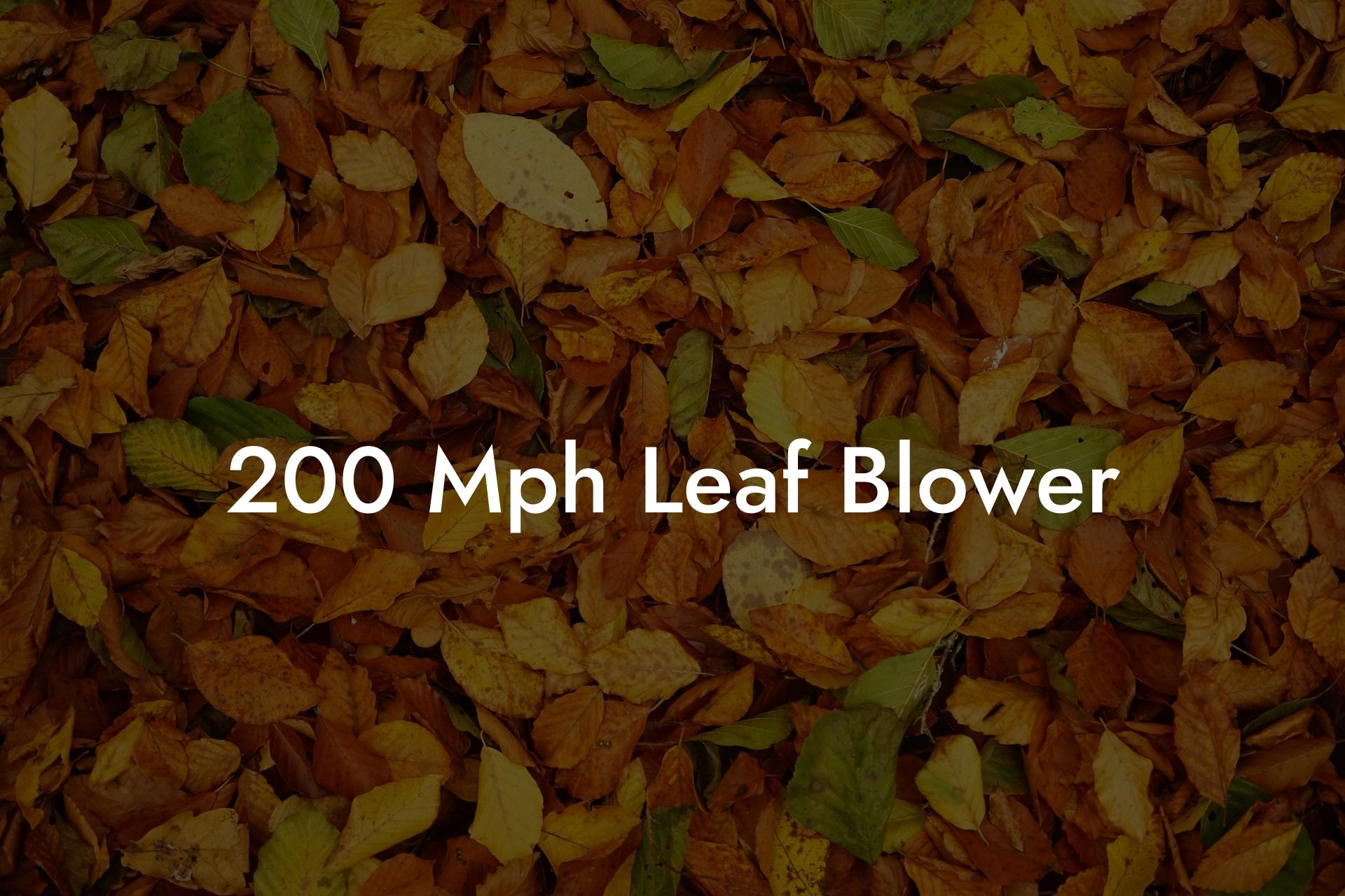 200 Mph Leaf Blower