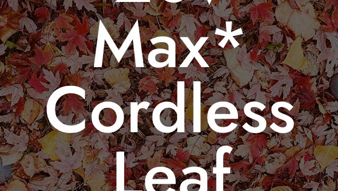 20v Max* Cordless Leaf Blower Kit