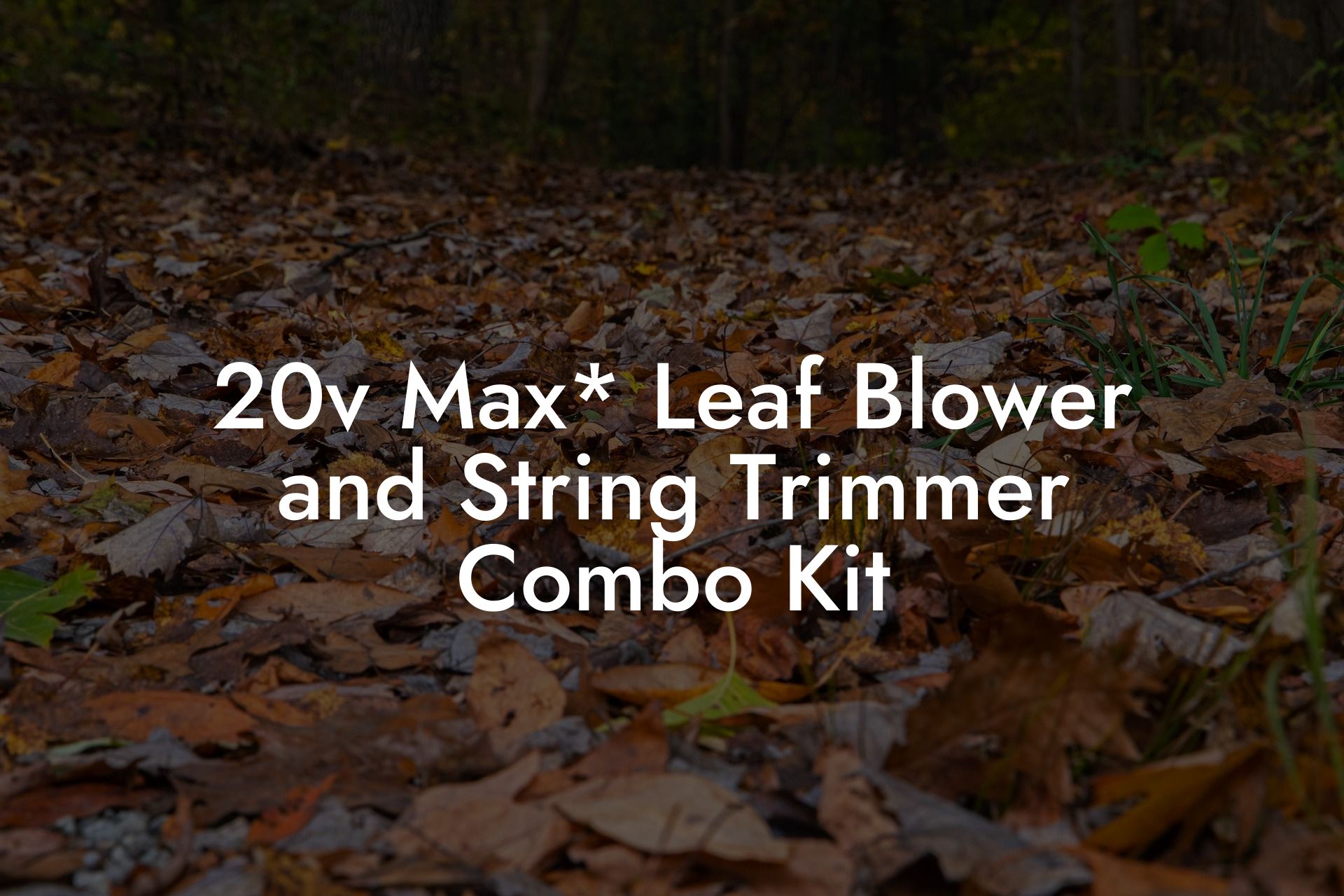 20v Max* Leaf Blower and String Trimmer Combo Kit