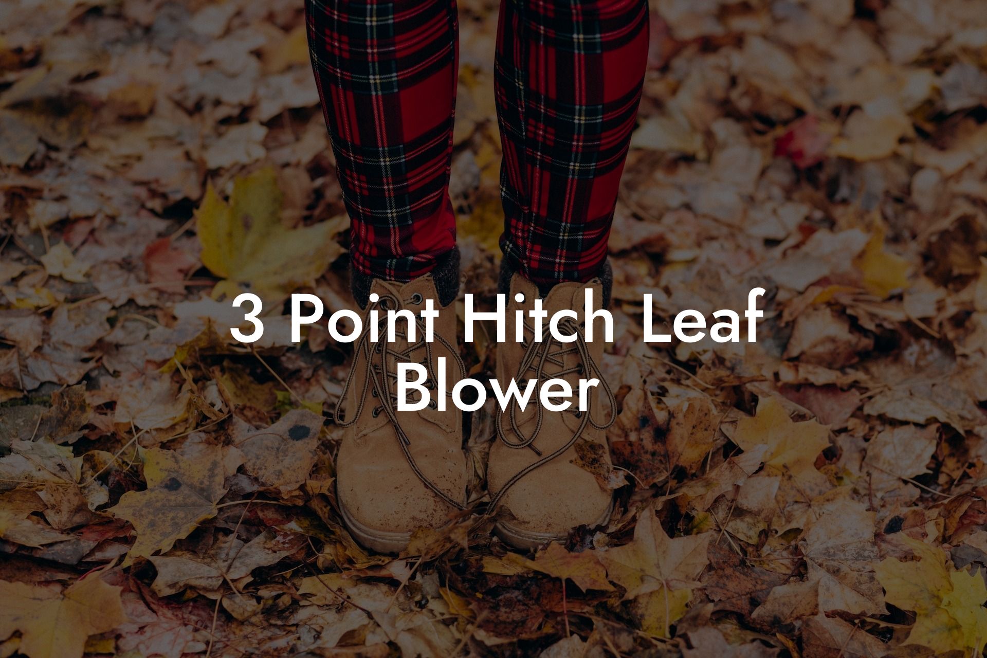 3 Point Hitch Leaf Blower