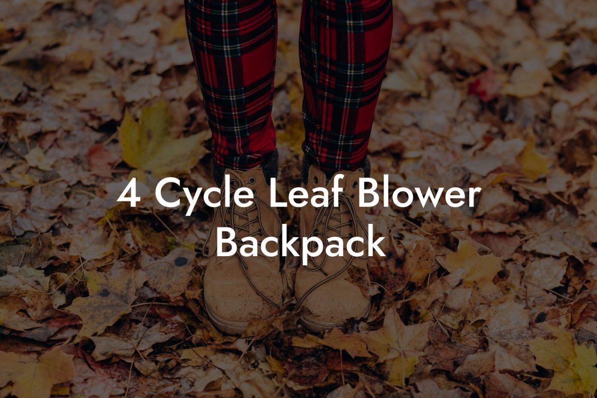 4 Cycle Leaf Blower Backpack