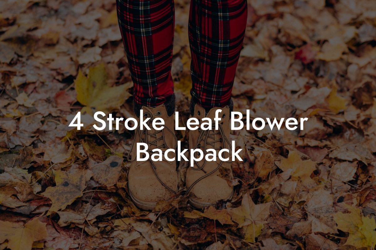 4 Stroke Leaf Blower Backpack