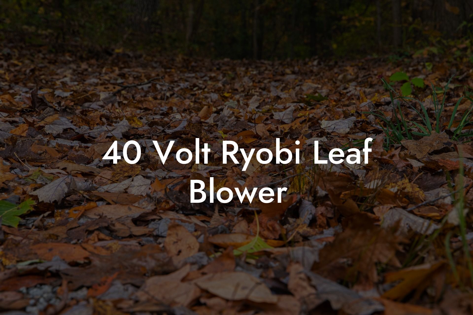 40 Volt Ryobi Leaf Blower