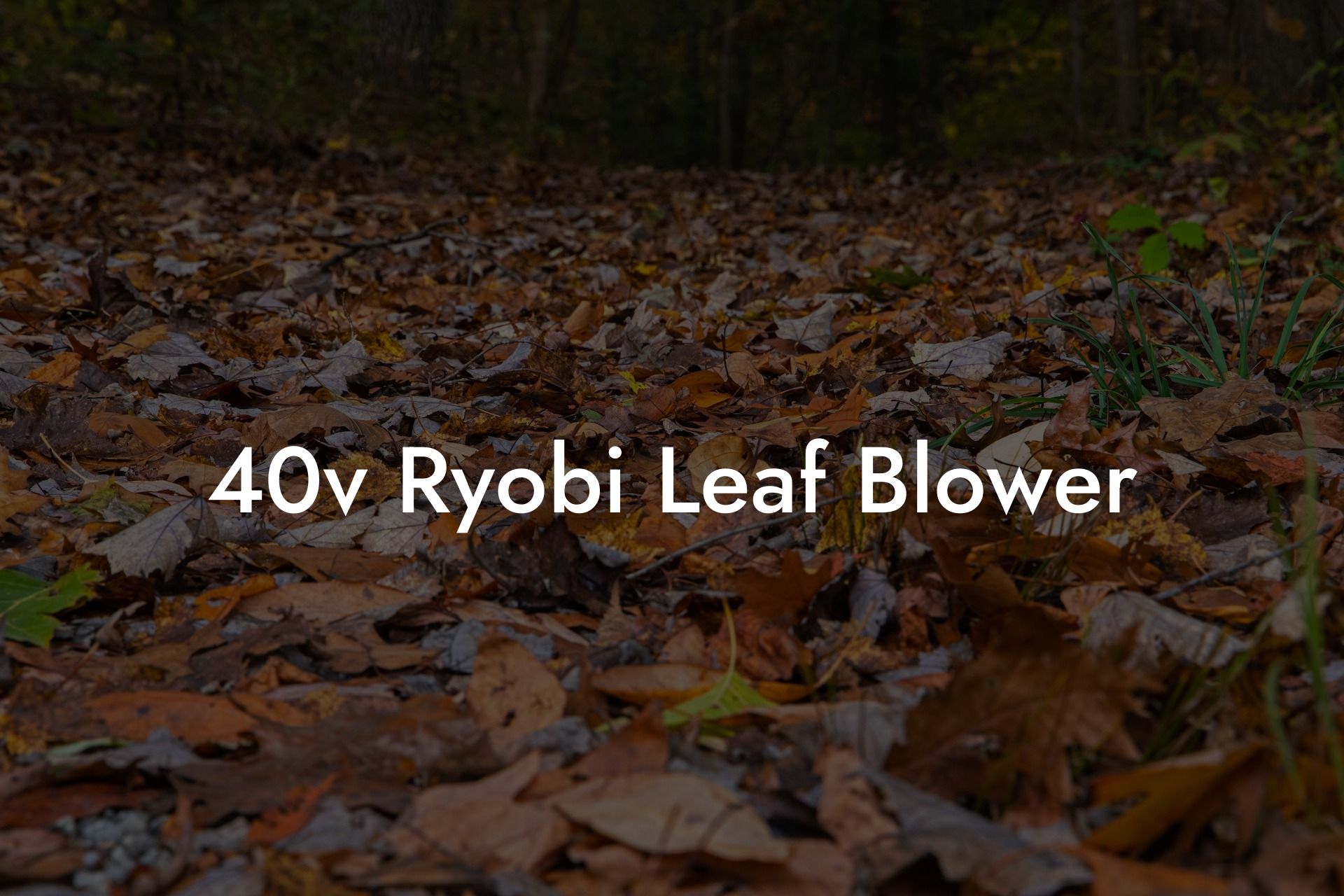 40v Ryobi Leaf Blower