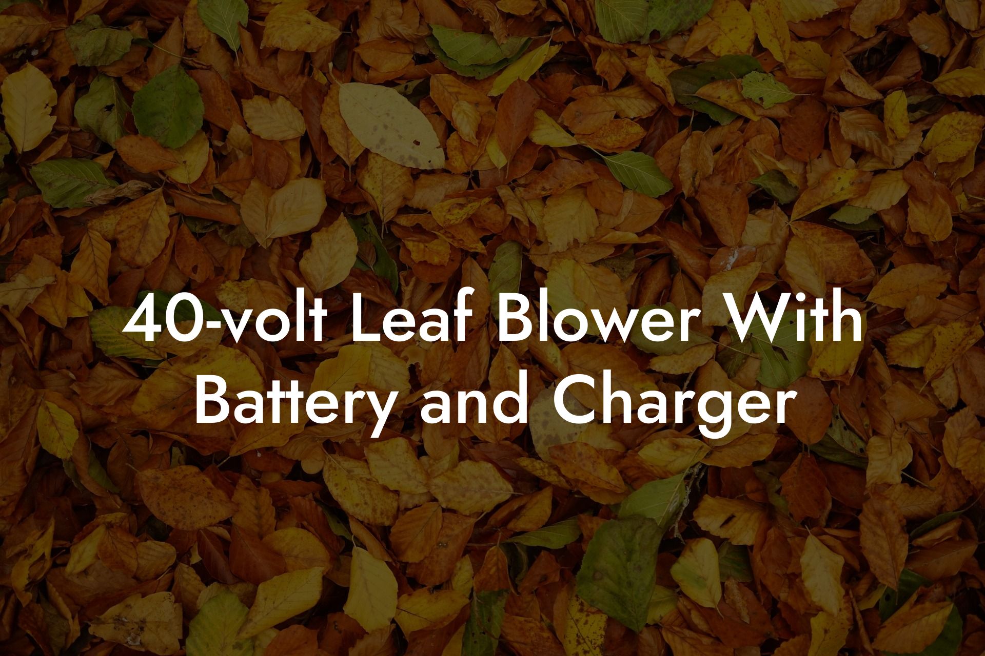 40-volt Leaf Blower With Battery and Charger