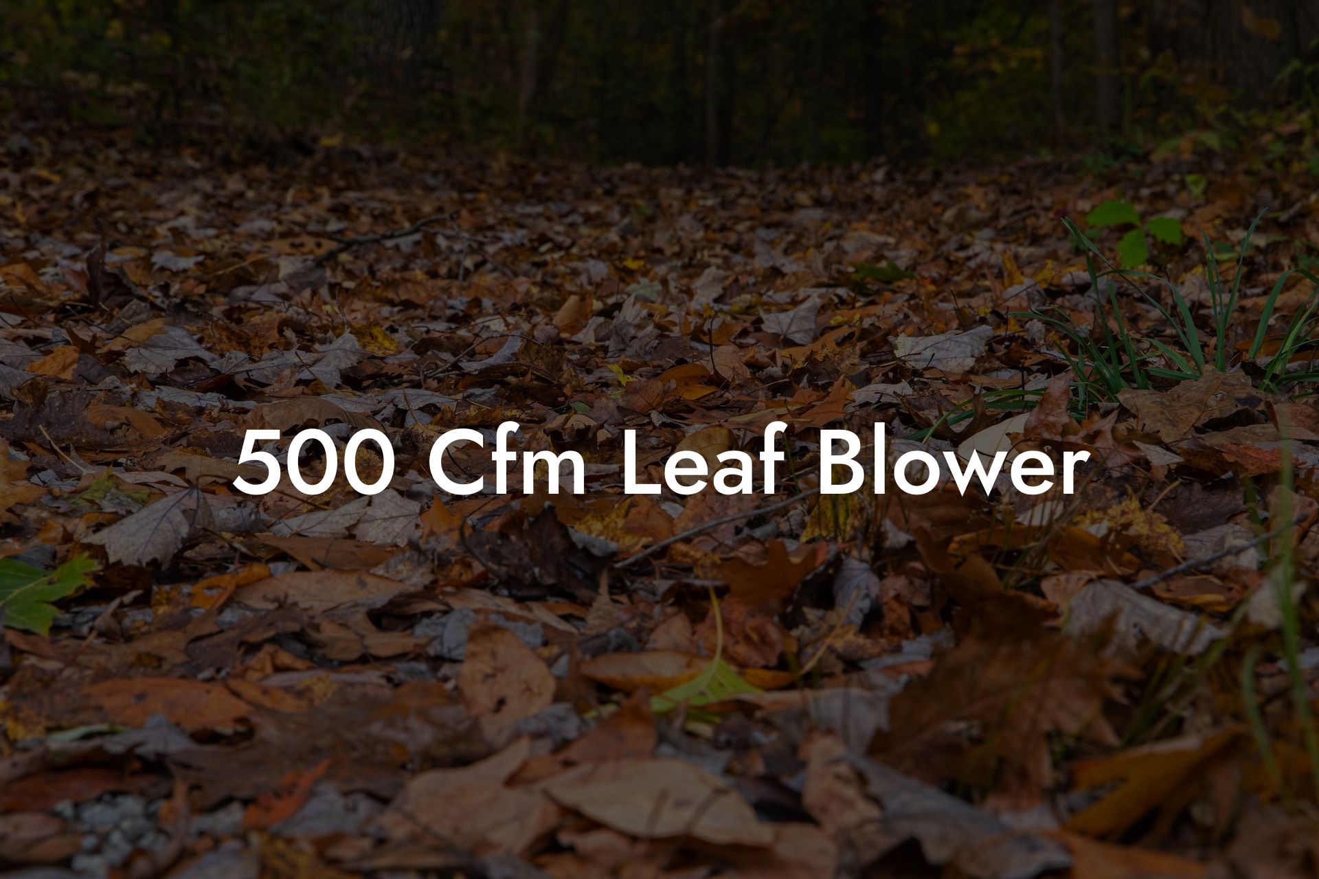 500 Cfm Leaf Blower