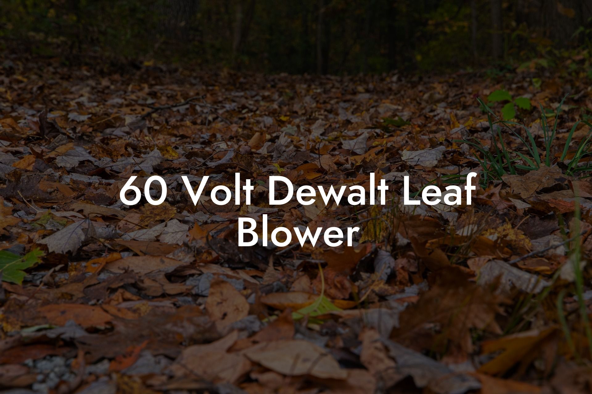 60 Volt Dewalt Leaf Blower