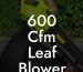 600 Cfm Leaf Blower