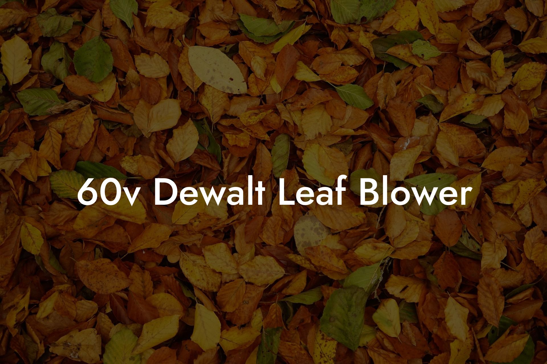 60v Dewalt Leaf Blower