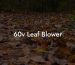 60v Leaf Blower