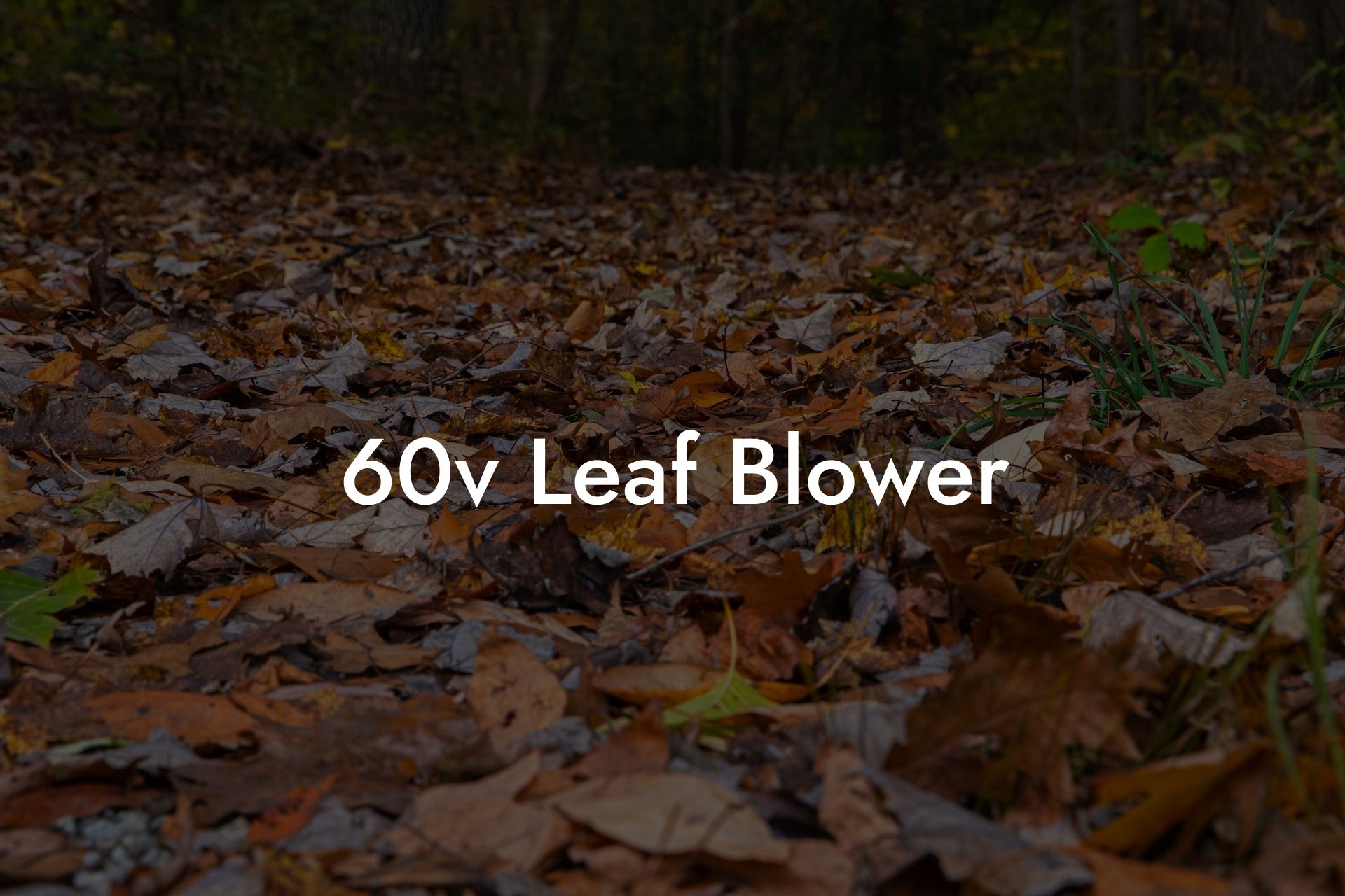 60v Leaf Blower