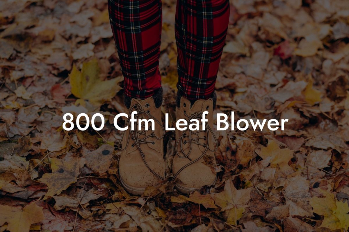 800 Cfm Leaf Blower