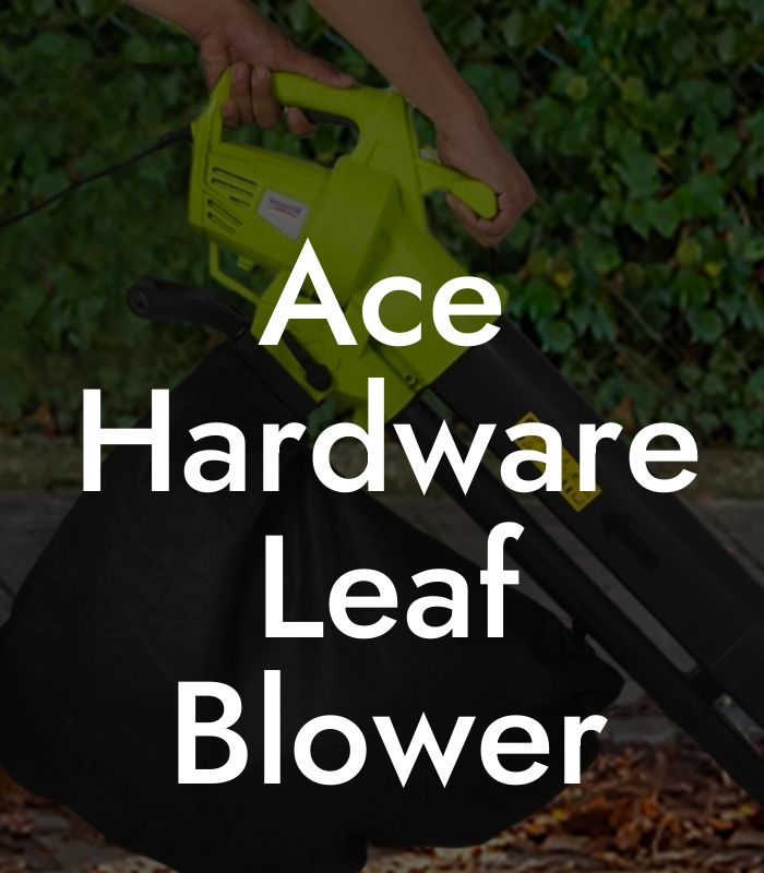 Ace Hardware Leaf Blower