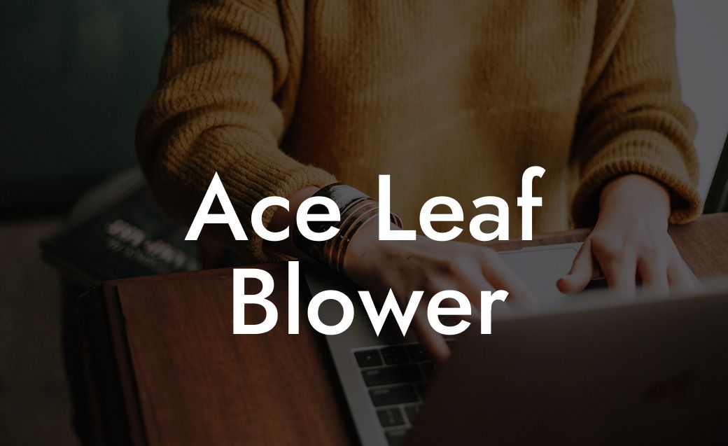 Ace Leaf Blower