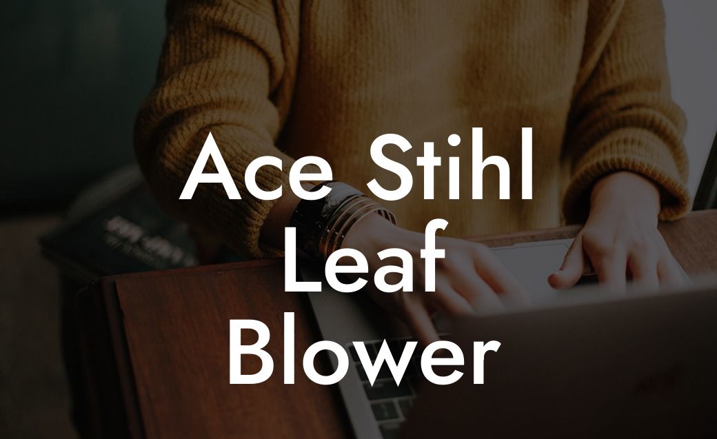 Ace Stihl Leaf Blower