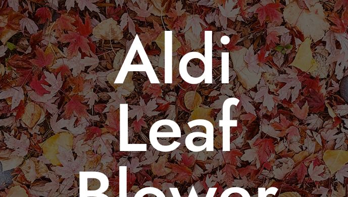 Aldi Leaf Blower