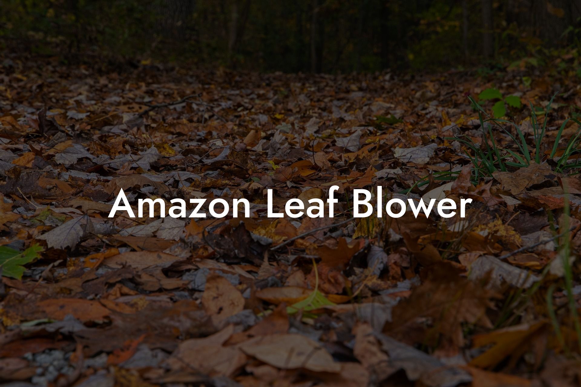 Amazon Leaf Blower