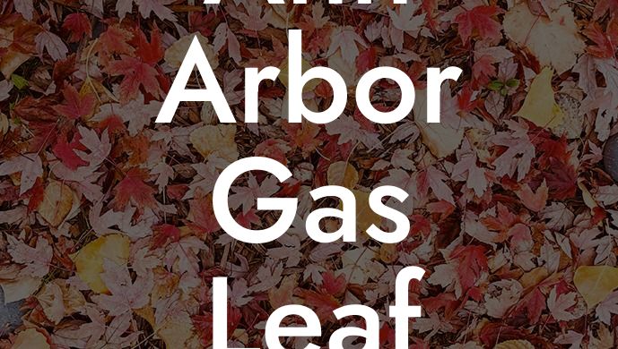 Ann Arbor Gas Leaf Blower Ban