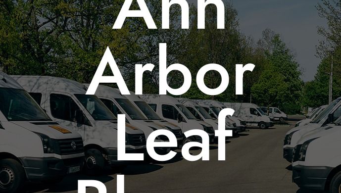 Ann Arbor Leaf Blower Ban