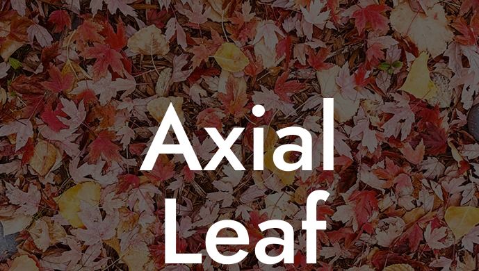 Axial Leaf Blower