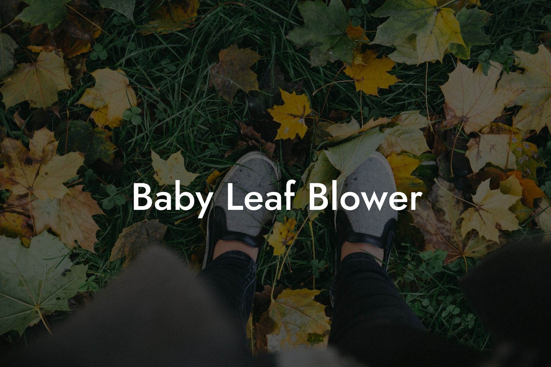 Baby Leaf Blower