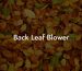 Back Leaf Blower