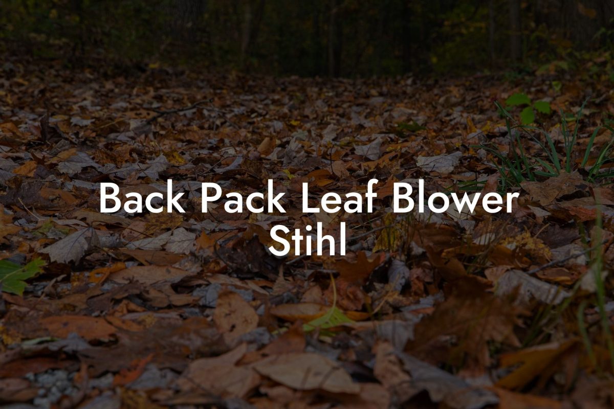 Back Pack Leaf Blower Stihl