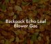 Backpack Echo Leaf Blower Gas