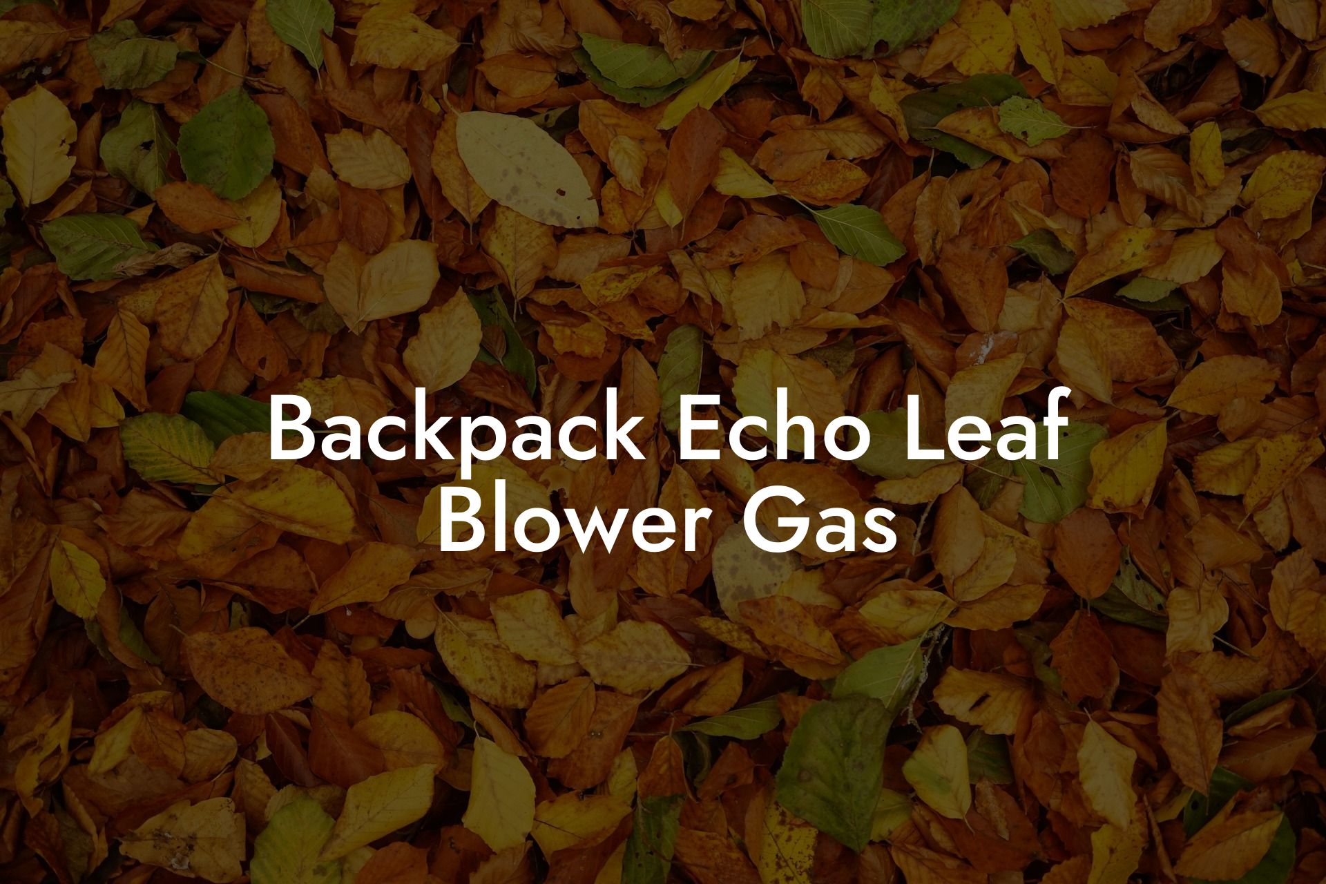 Backpack Echo Leaf Blower Gas