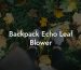 Backpack Echo Leaf Blower