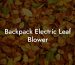 Backpack Electric Leaf Blower