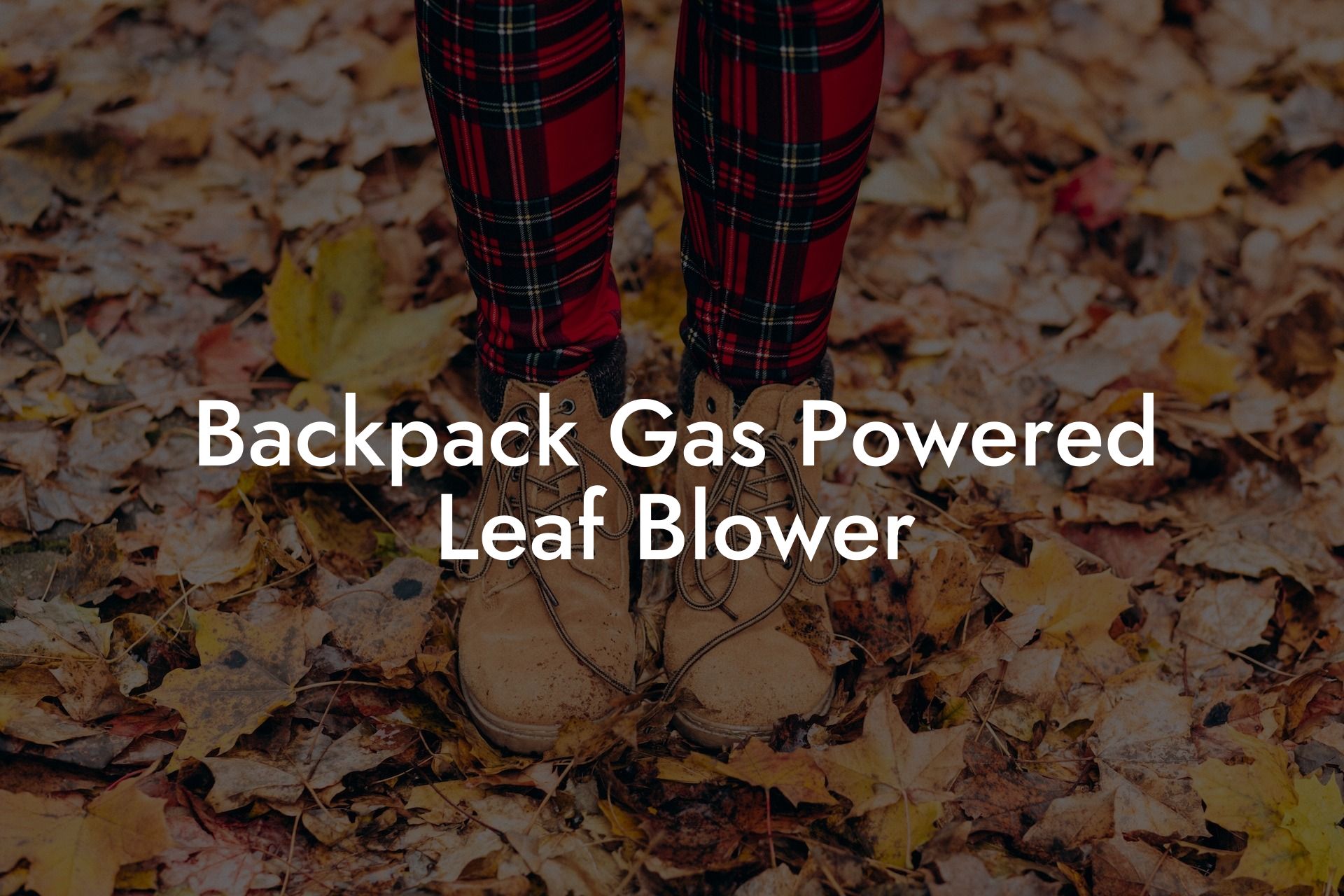 Backpack Gas Powered Leaf Blower