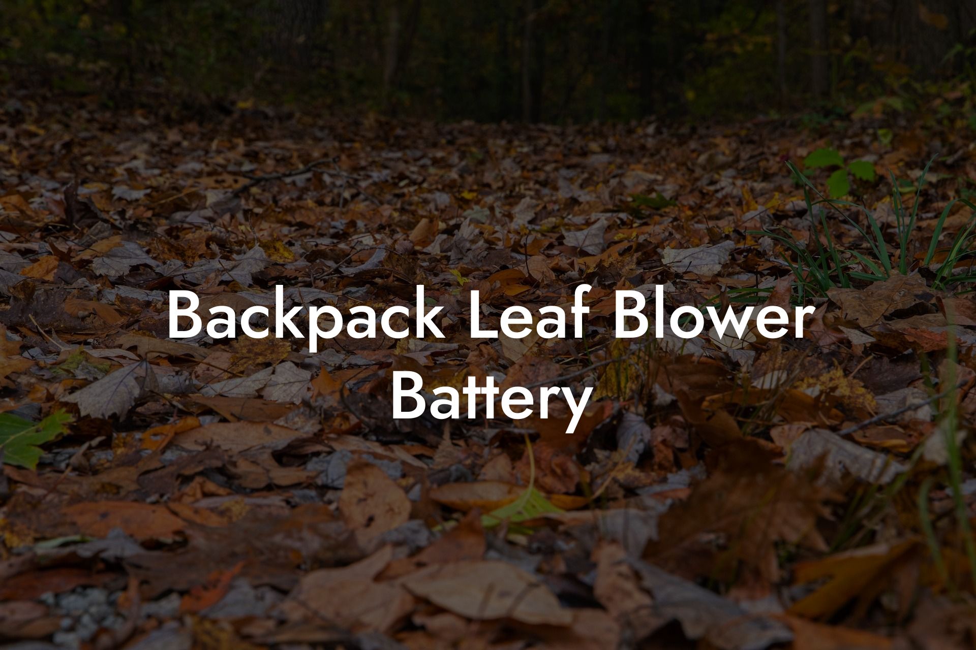 Backpack Leaf Blower Battery