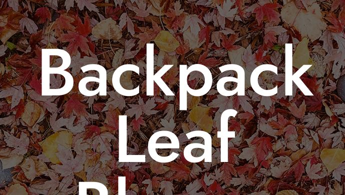 Backpack Leaf Blower Echo