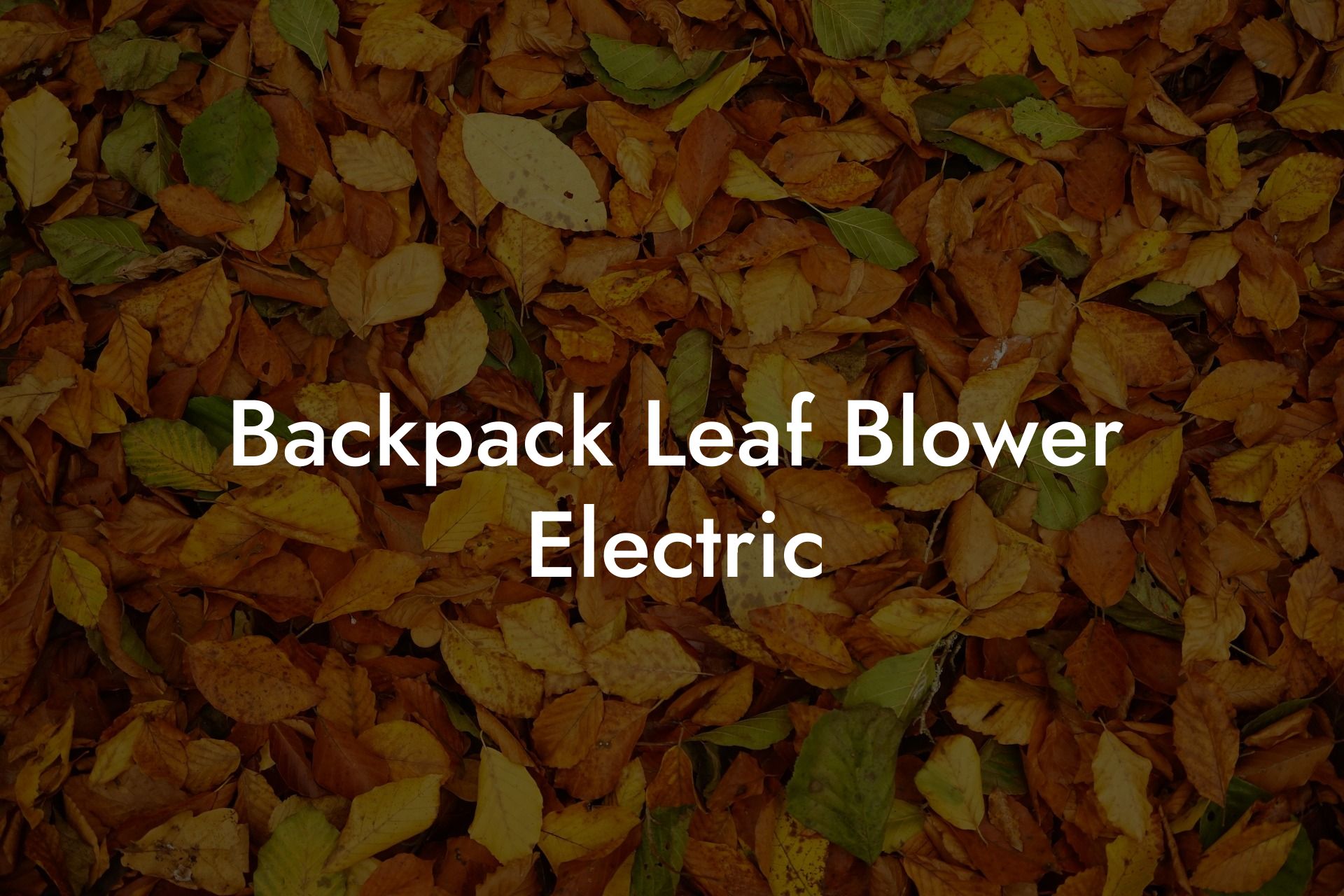 Backpack Leaf Blower Electric