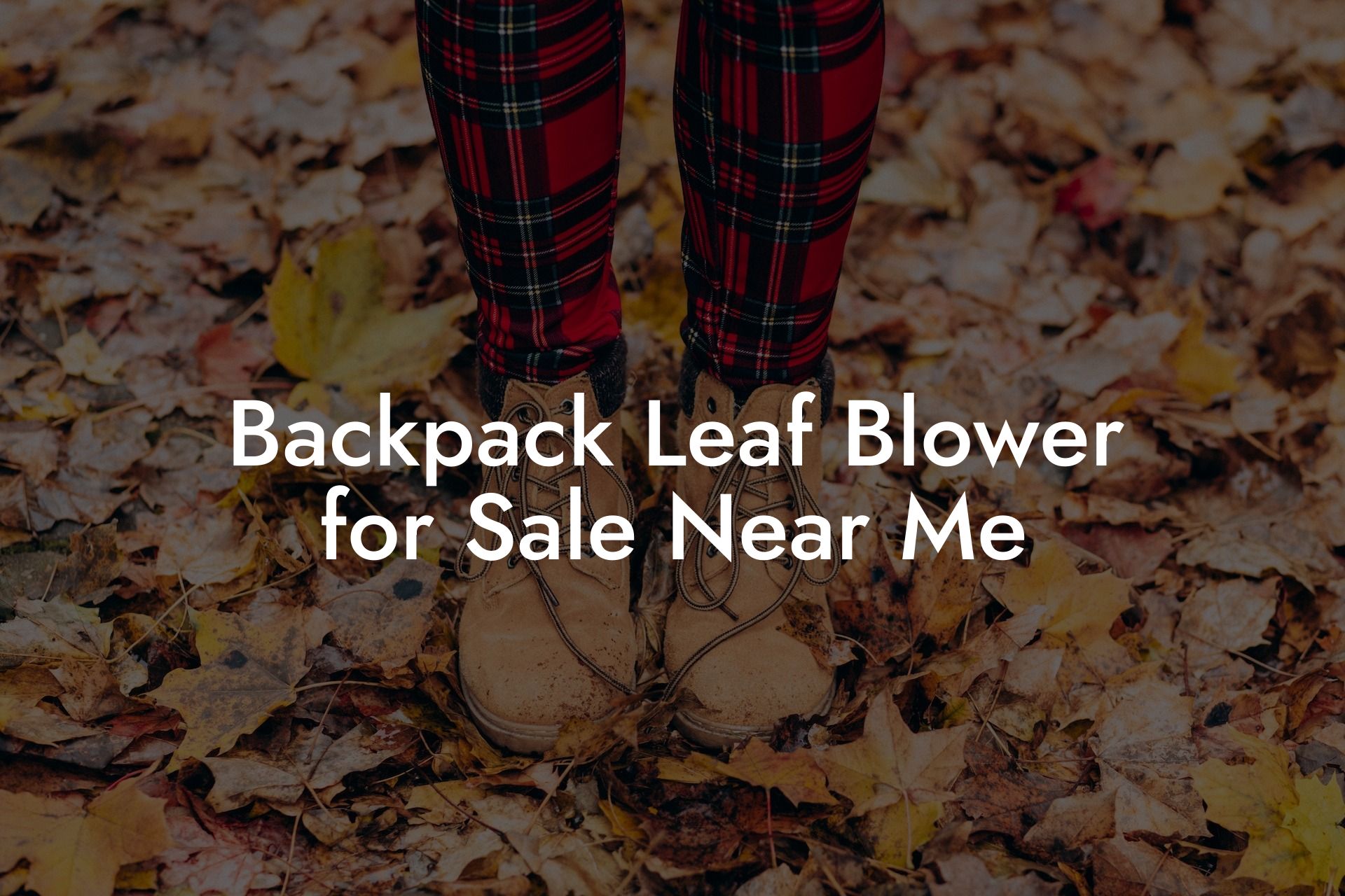 Backpack Leaf Blower for Sale Near Me