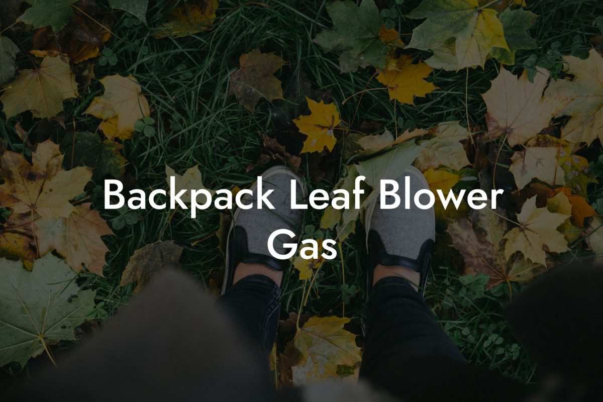 Backpack Leaf Blower Gas