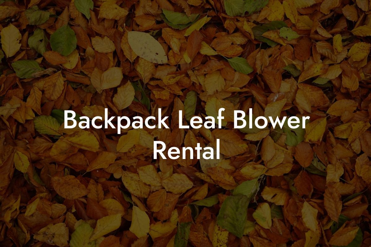 Backpack Leaf Blower Rental