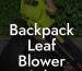 Backpack Leaf Blower Sale