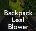 Backpack Leaf Blower Vacuum