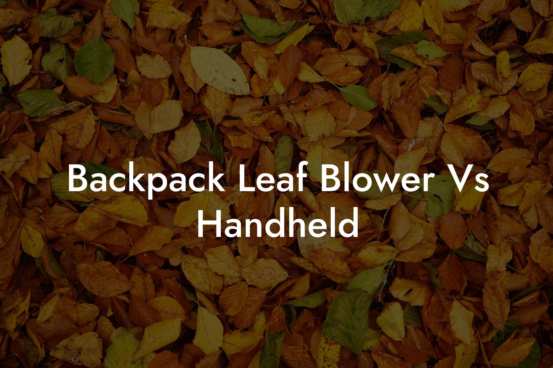 Backpack Leaf Blower Vs Handheld