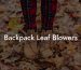 Backpack Leaf Blowers