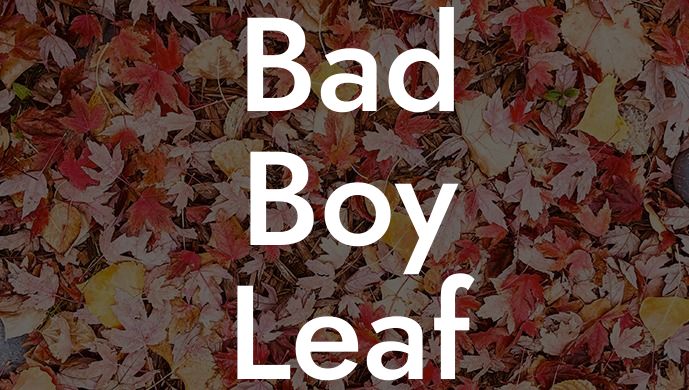 Bad Boy Leaf Blower