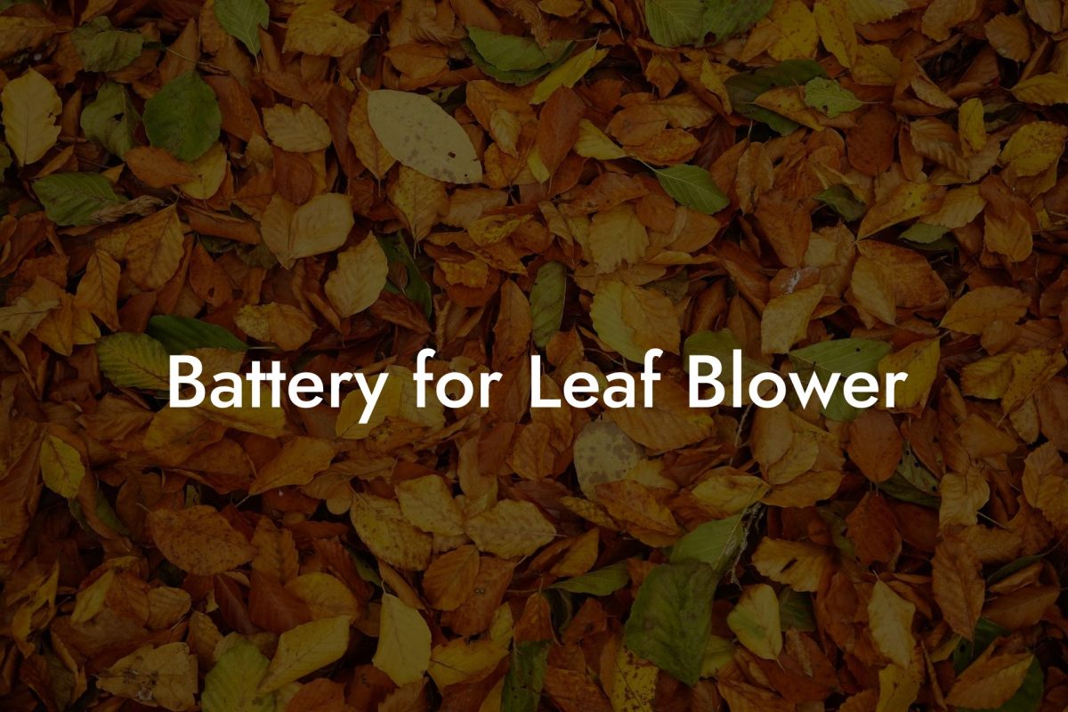 Battery for Leaf Blower