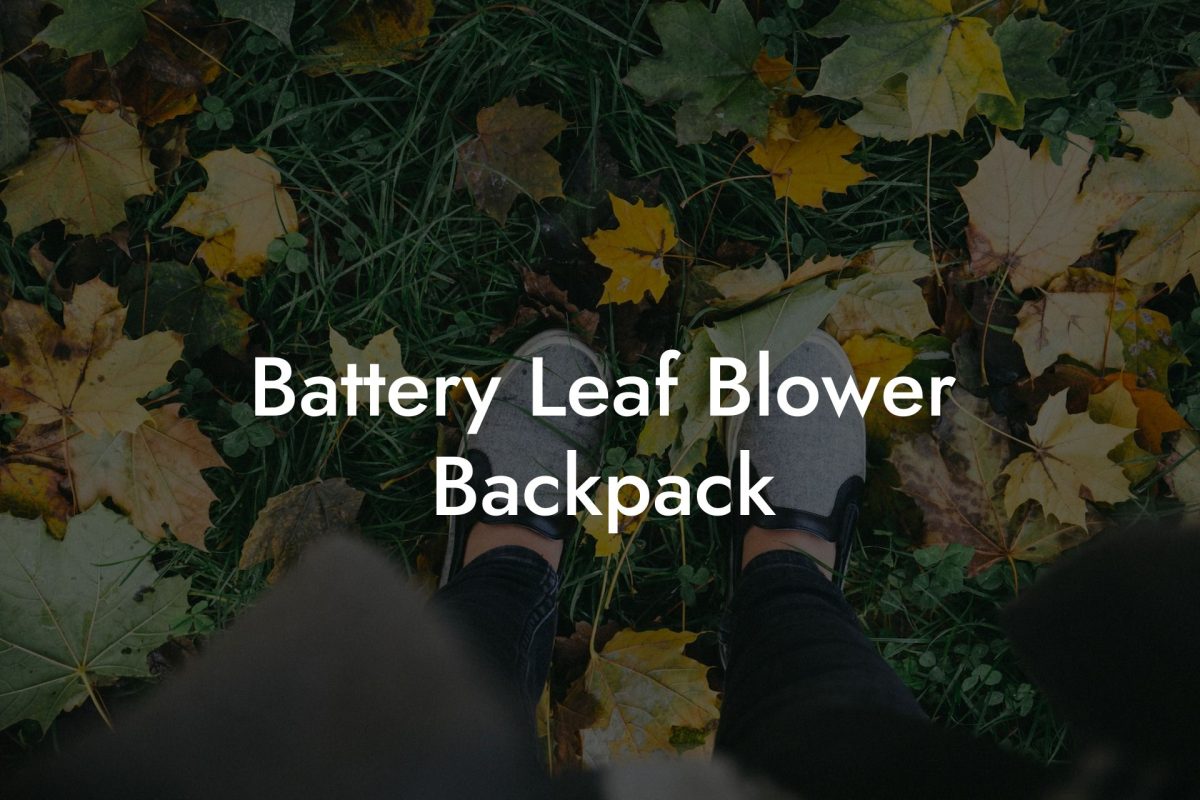 Battery Leaf Blower Backpack